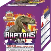 Raptors firework